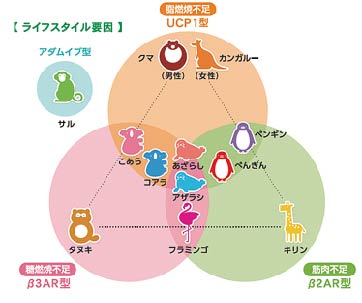 遺伝子検査 Dna 治療ダイエット